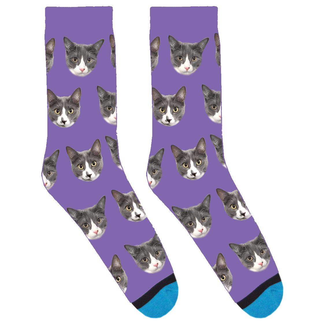 Bean Bunny and Sweetums Socks