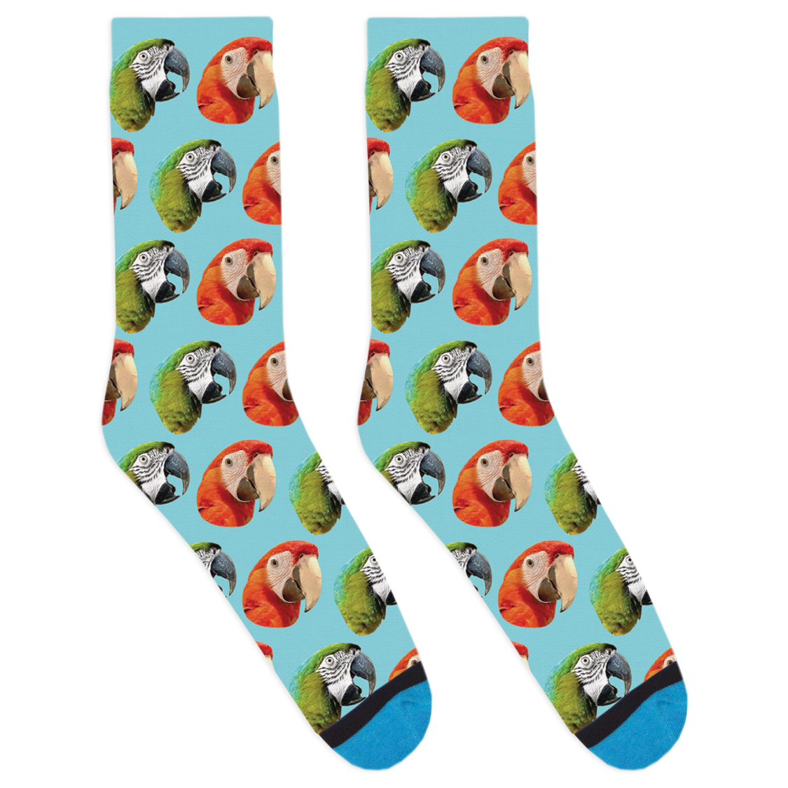 Captain Monty & Friends Socks