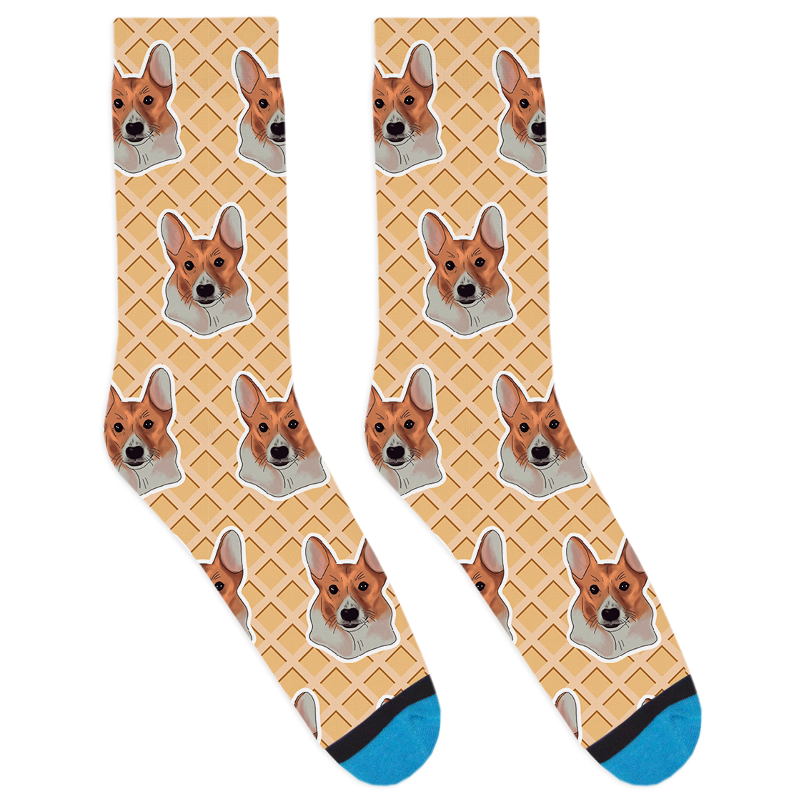 Corgi Socks