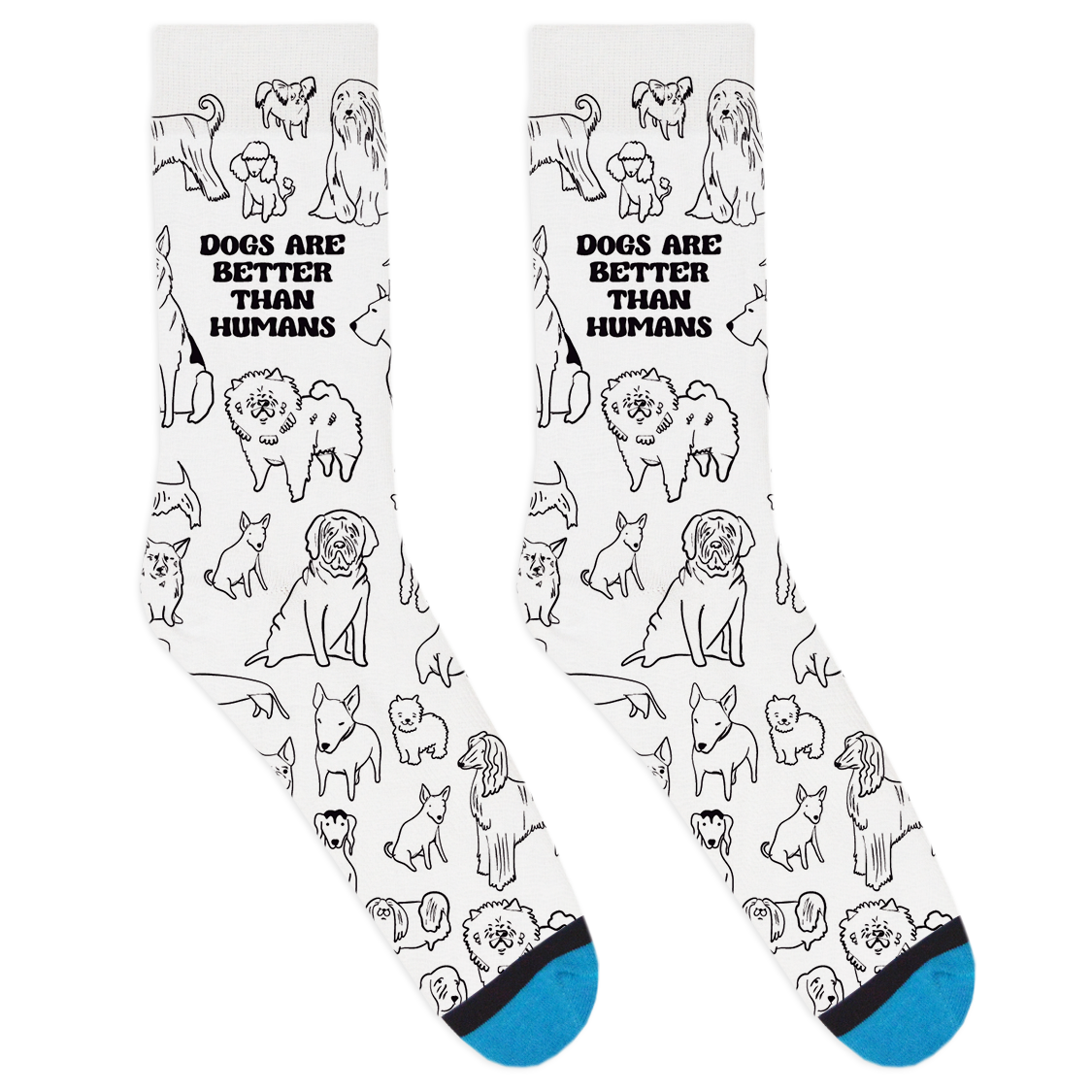 Dogs Are Better Than Humans Socks