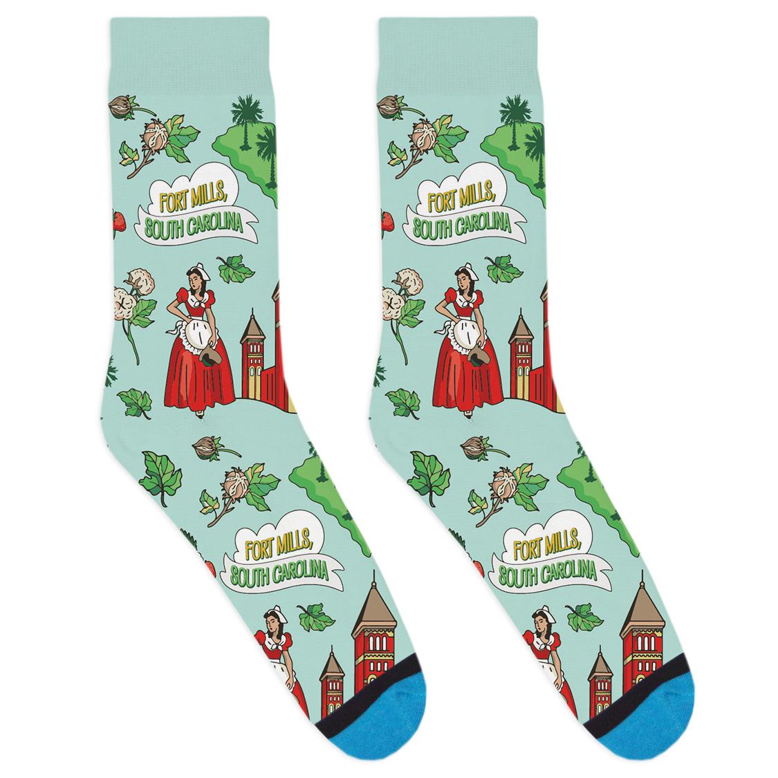 Local Landmarks - Fort Mills Socks