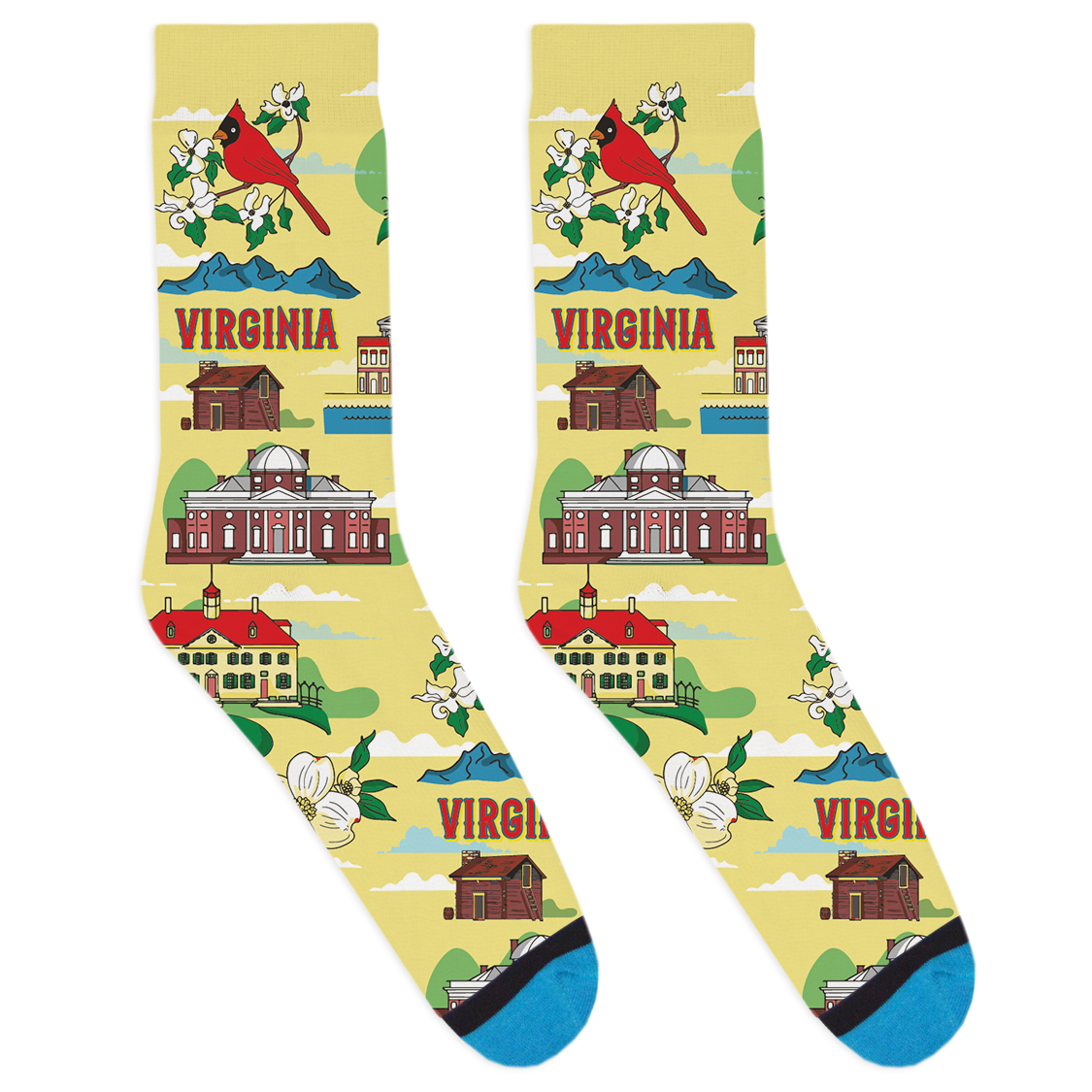 Local Landmarks - Virginia Socks