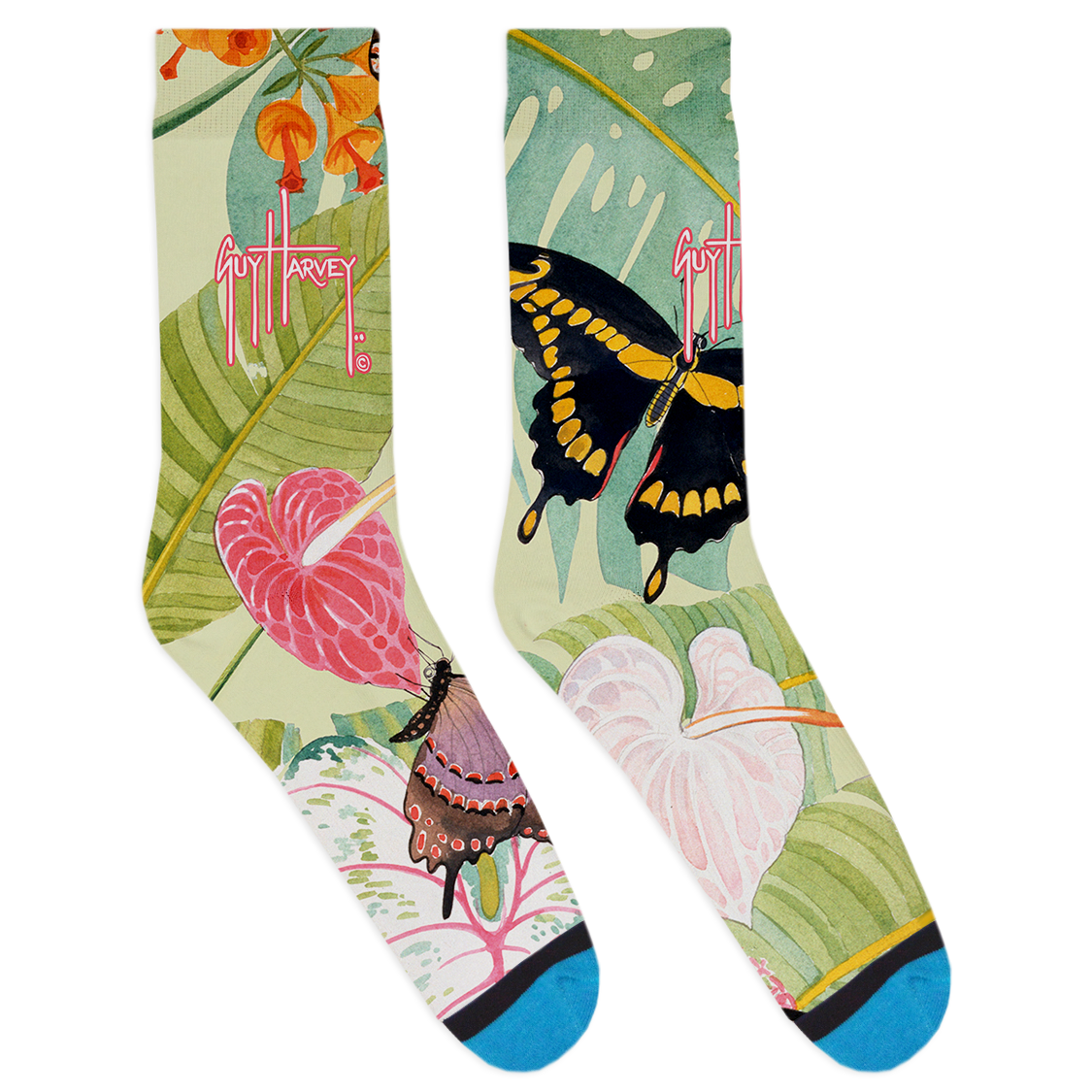 Guy Harvey Collection: Butterfly