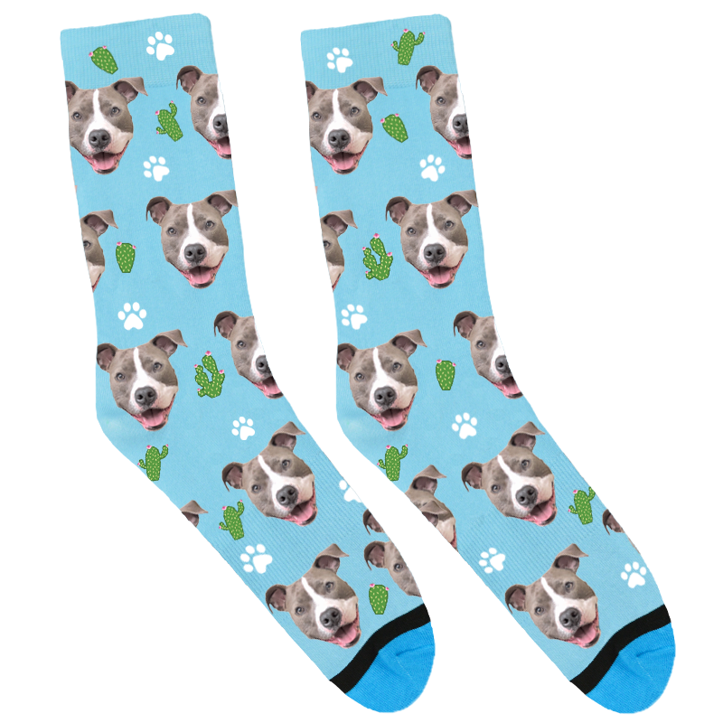 Rey the Pitbull Socks