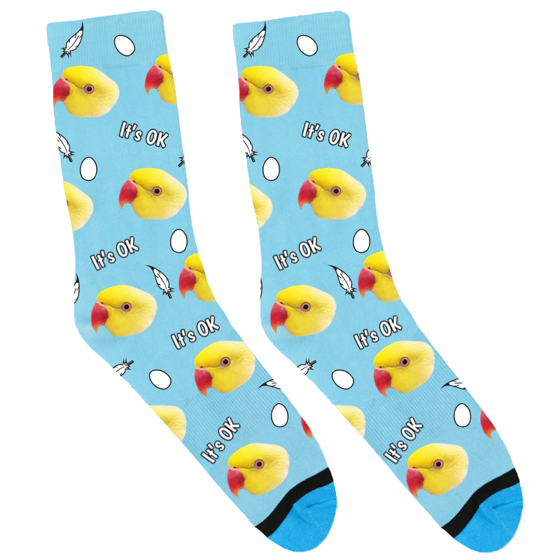 Sunshine The Indian Ringneck Socks