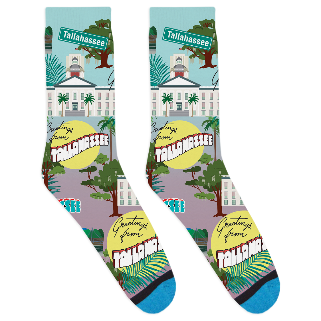 Tallahassee Landmark Socks