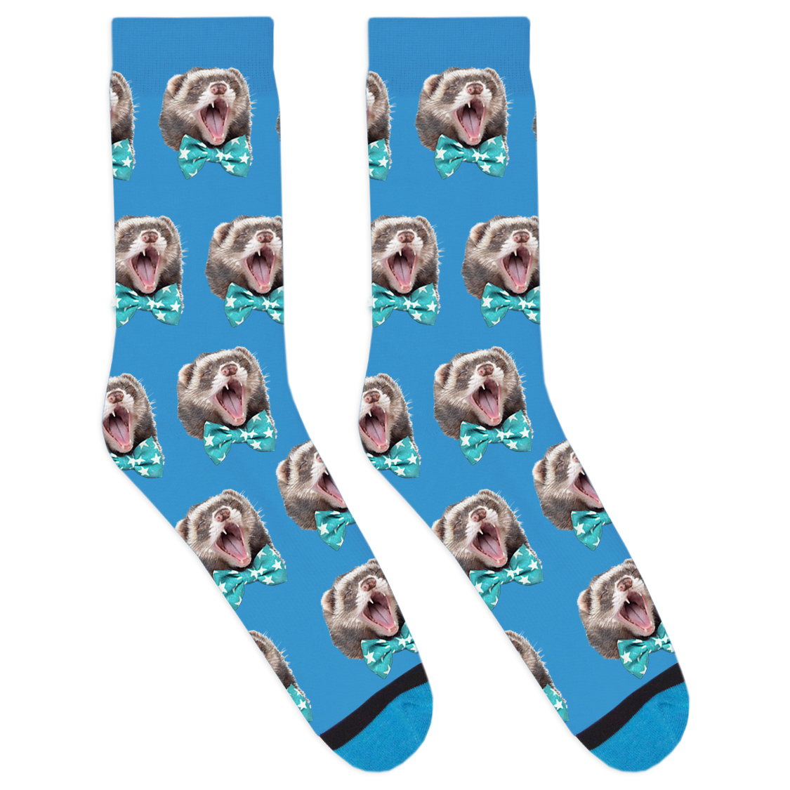 Mr. Moose the Famous Ferret Socks
