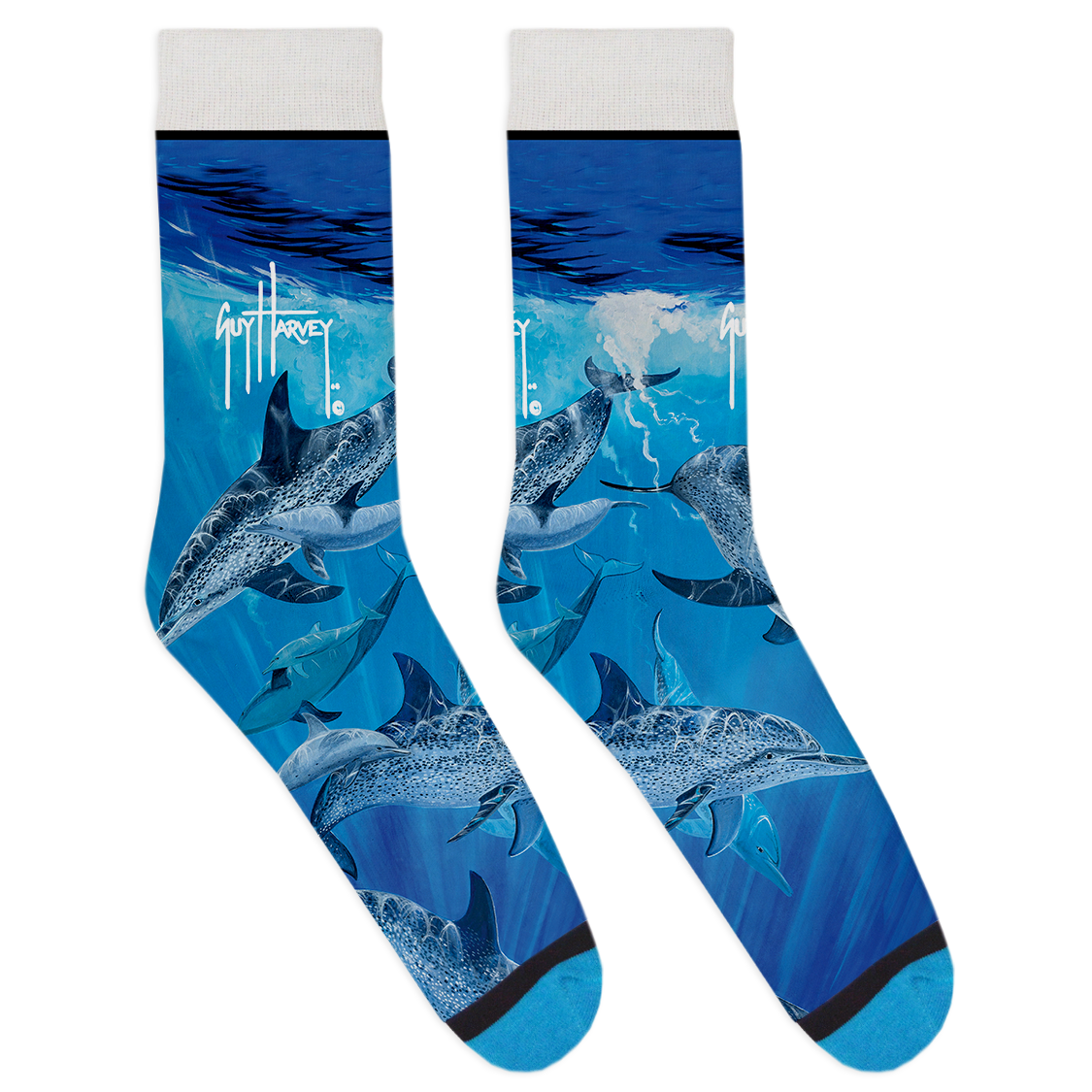 Guy Harvey Collection: Dolphin