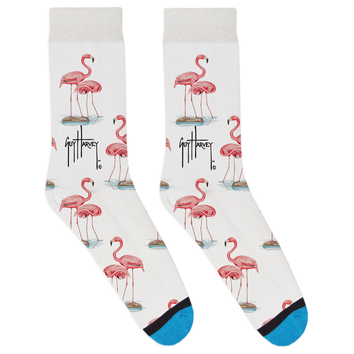Guy Harvey Collection: Flamingo
