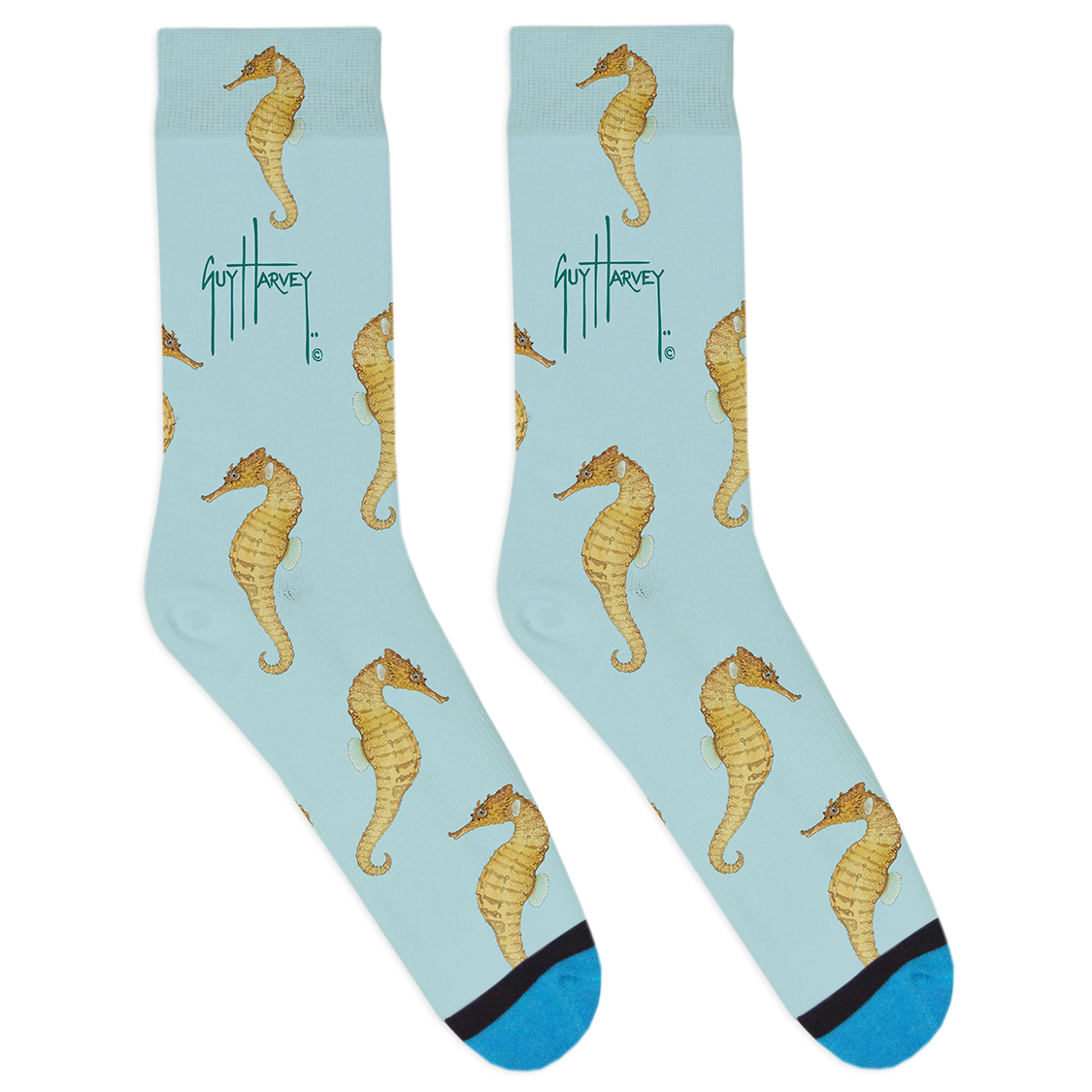 Guy Harvey Collection: Seahorse