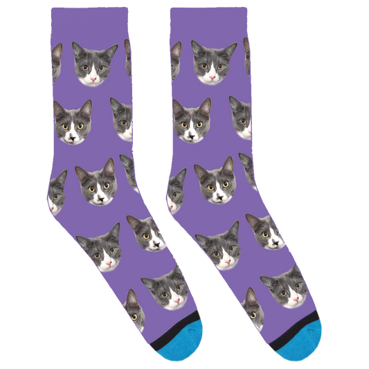 Bean Bunny and Sweetums Socks