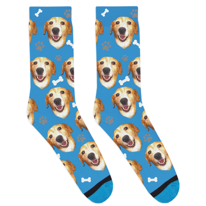 Custom Dog Socks