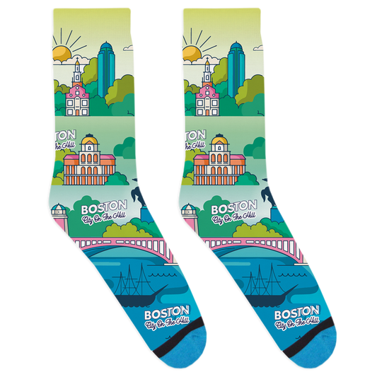 Boston City Map Socks