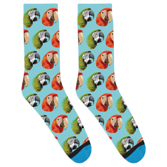 Captain Monty & Friends Socks