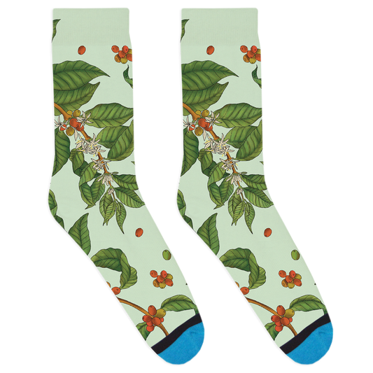 Coffee Plant Socks