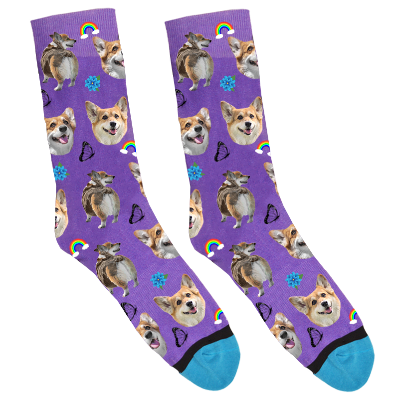 Corgi Zero Socks