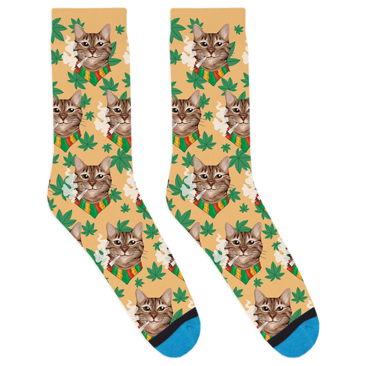 Canna-Mals: Dabby the Tabby Cat Socks