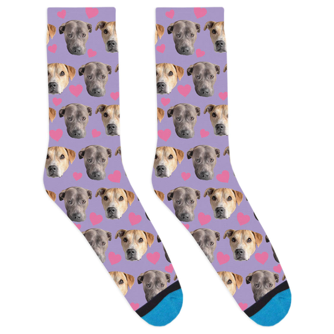 Desmond and Luna Socks