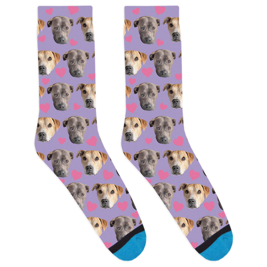 Desmond and Luna Socks