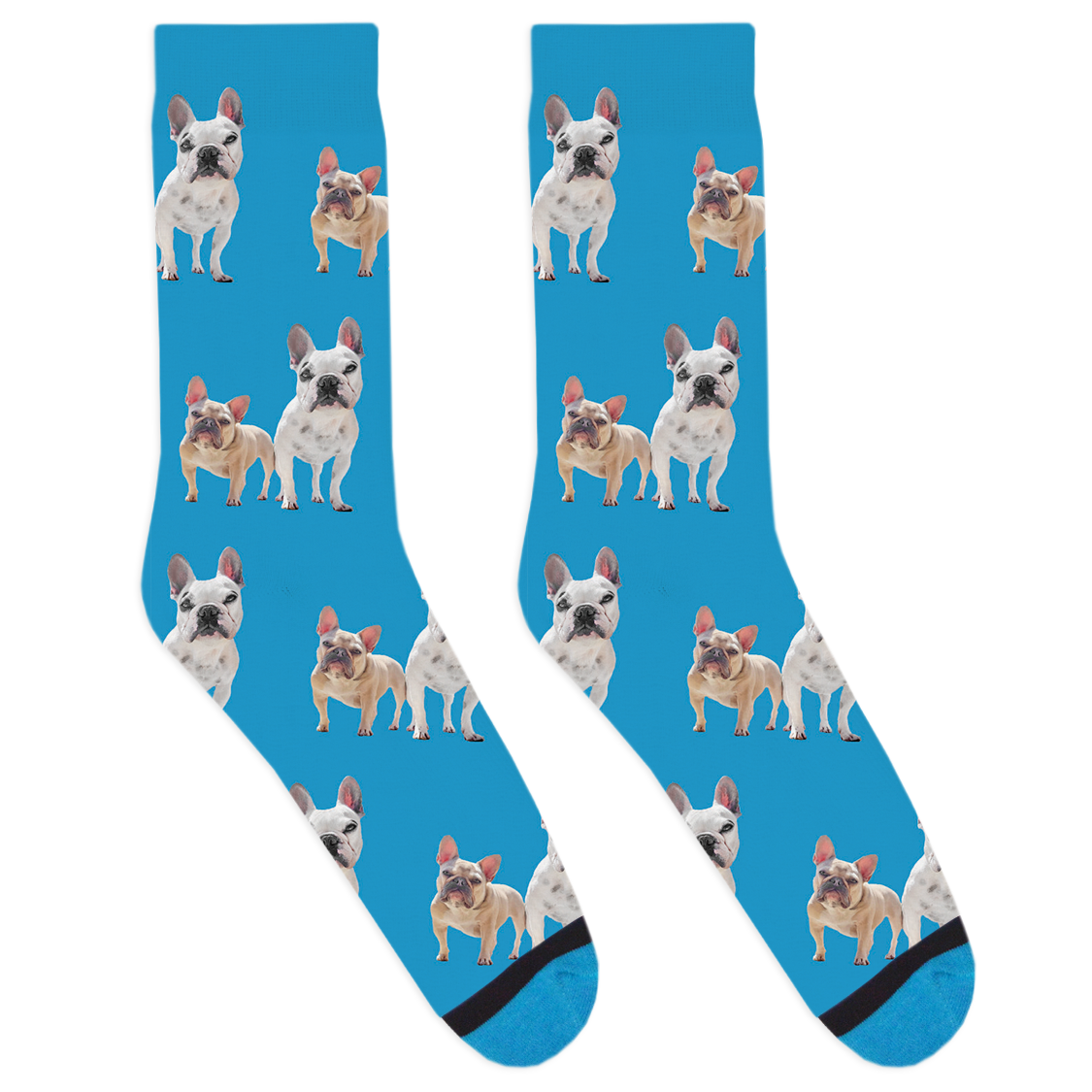 Walter Geoffrey and Charlotte Socks