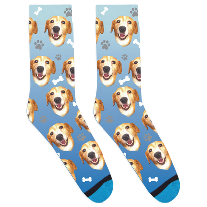 Custom Dog Socks