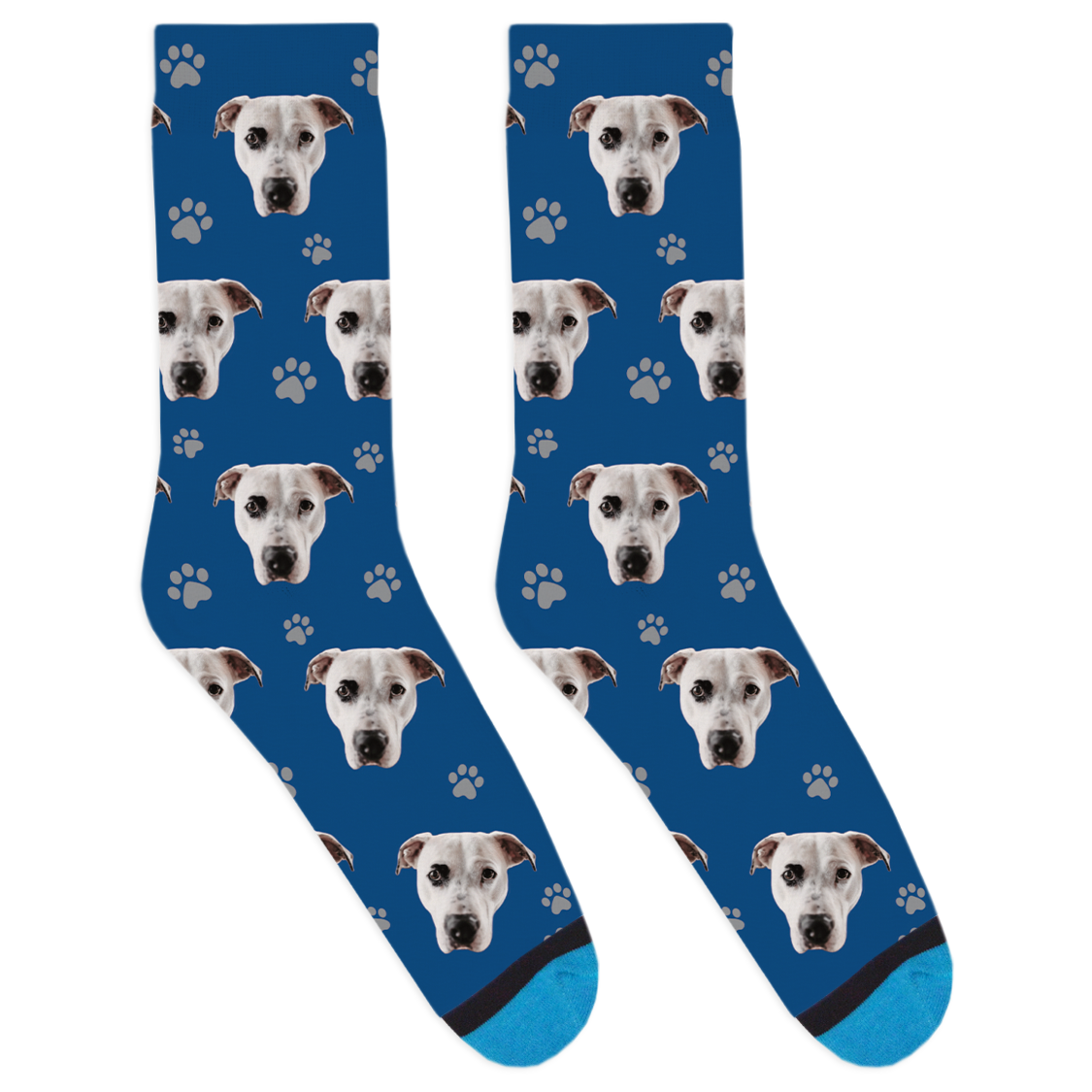 Cabot the Dog Socks