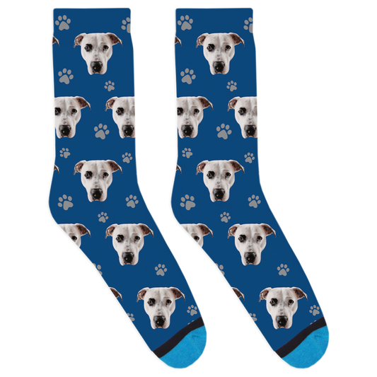Cabot the Dog Socks