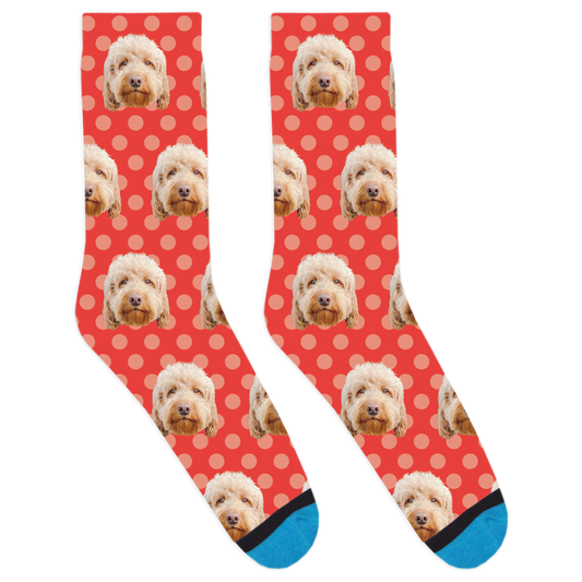 Dood it's Charlie Socks
