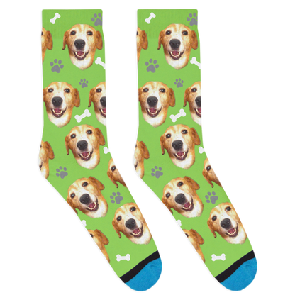 Custom Dog Socks