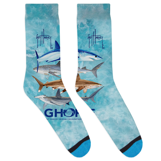 Guy Harvey Collection: Ocean Day