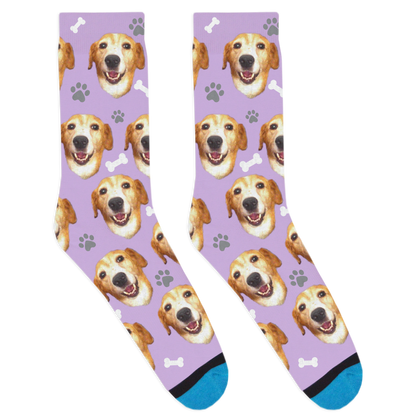 Custom Dog Socks