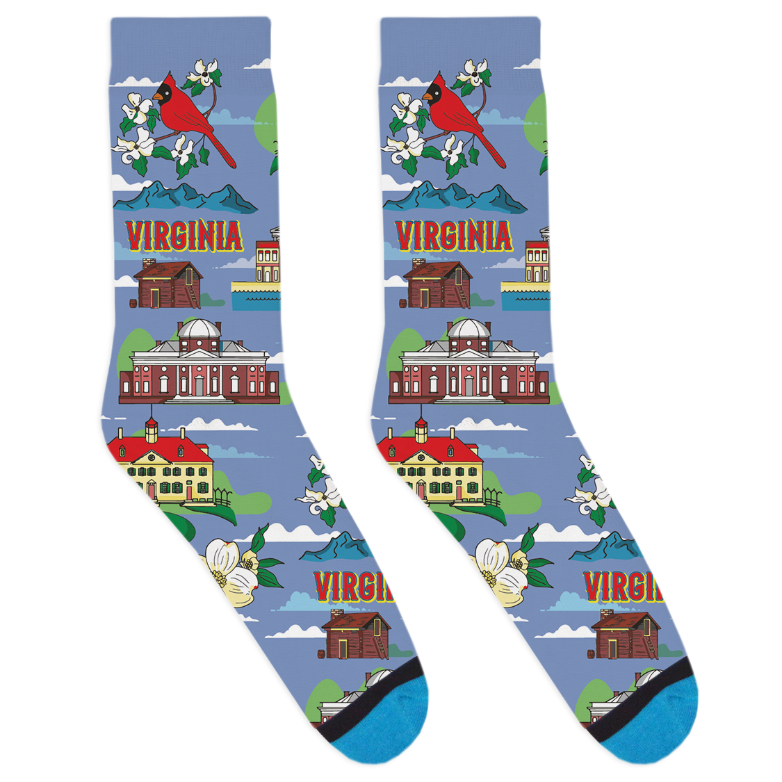 Local Landmarks - Virginia Socks