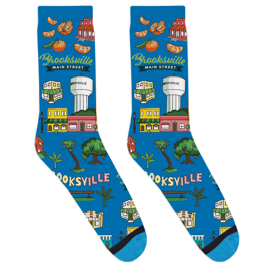 Main Street Brooksville Socks
