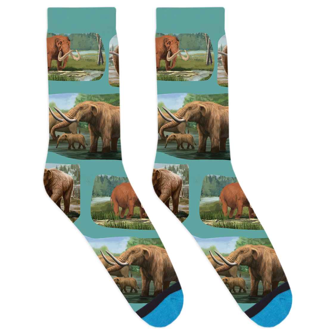 Mastodon Socks