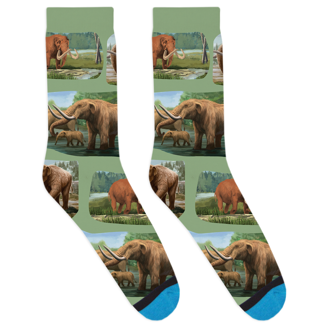 Mastodon Socks