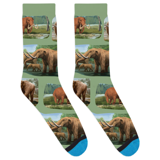 Mastodon Socks