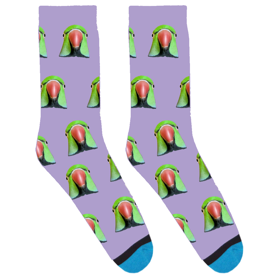 OMPB Socks