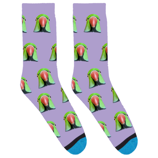 OMPB Socks