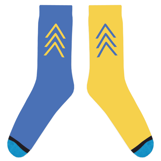 World Down Syndrome Awareness Mismatched Arrow Socks