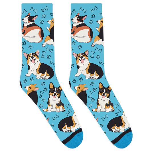 Pembroke Corgi Socks