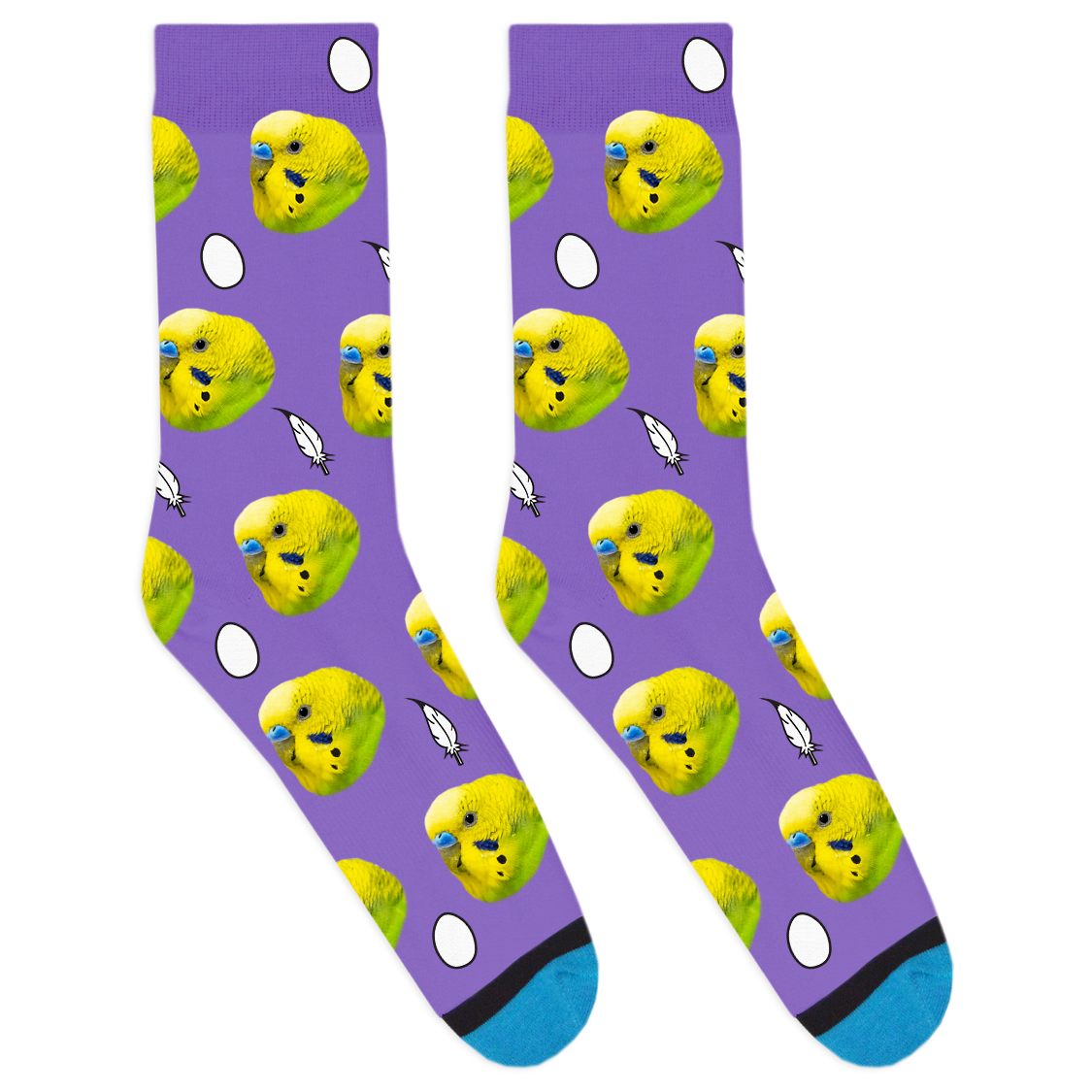 Custom Bird Socks