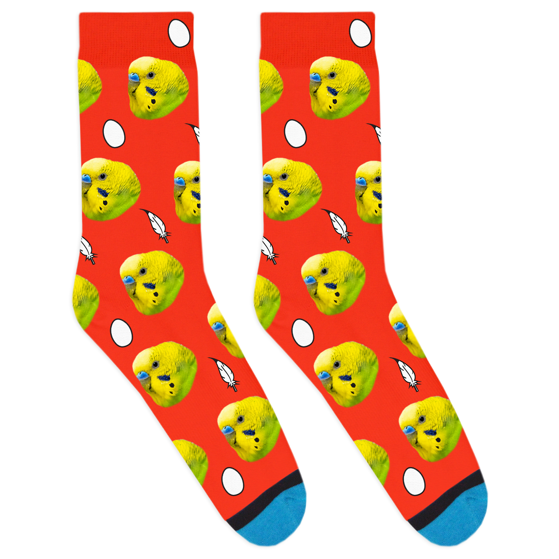 Custom Bird Socks
