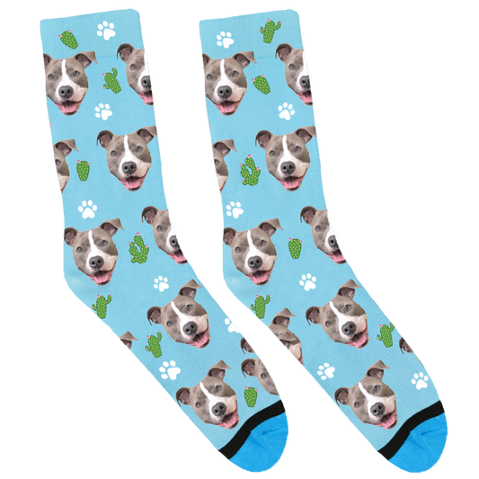 Rey the Pitbull Socks