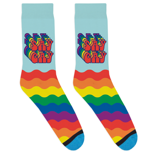 Say Gay Rainbow Socks