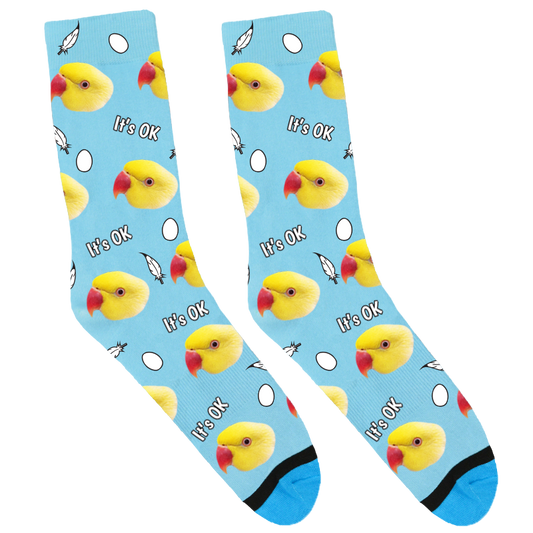 Sunshine The Indian Ringneck Socks