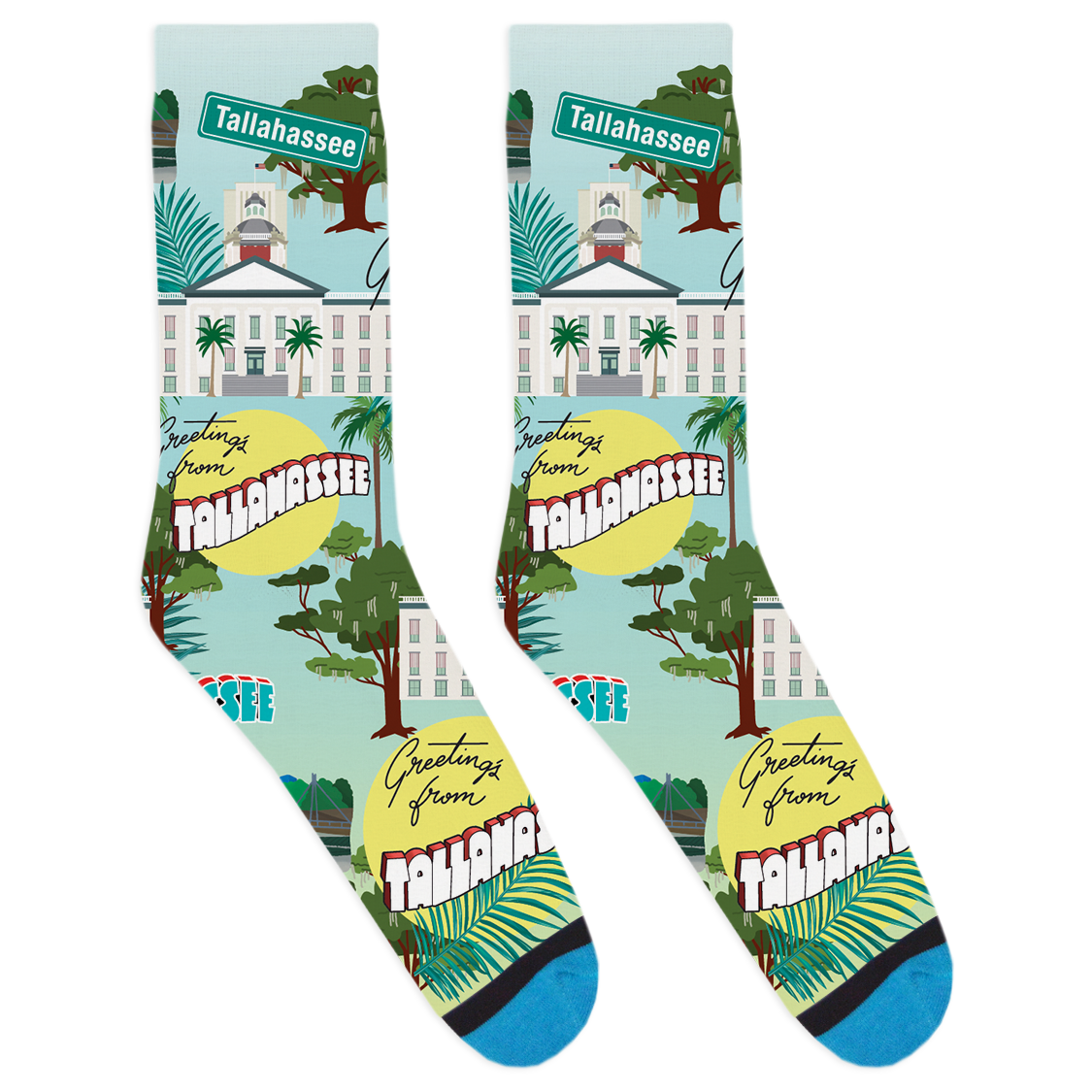 Tallahassee Landmark Socks