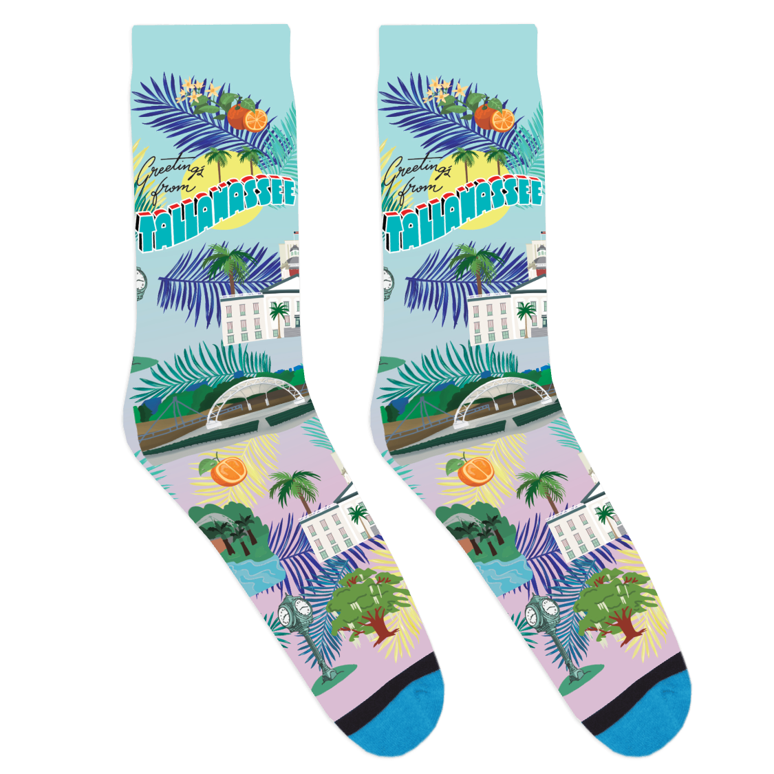 Tallahassee Statement Socks