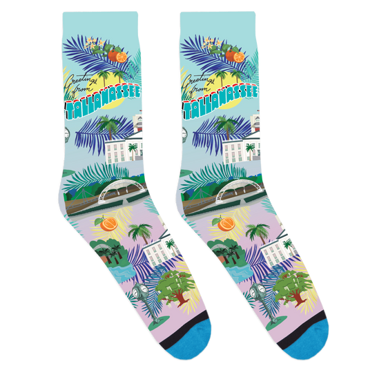 Tallahassee Statement Socks