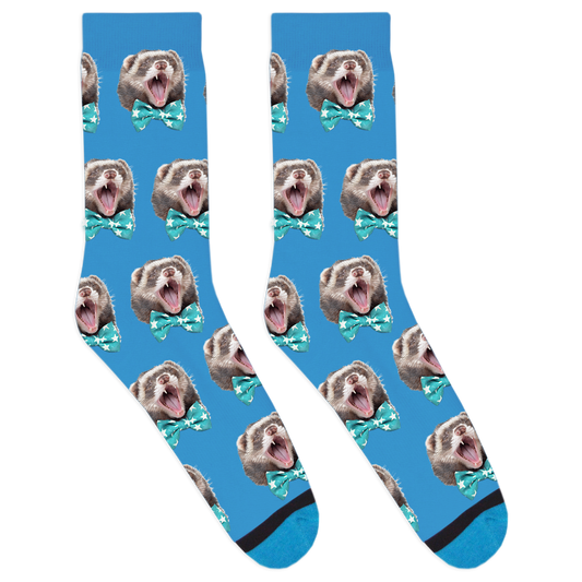 Mr. Moose the Famous Ferret Socks