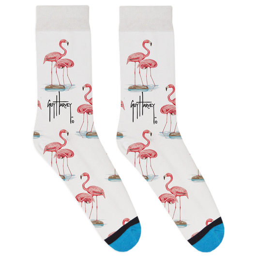 Guy Harvey Collection: Flamingo